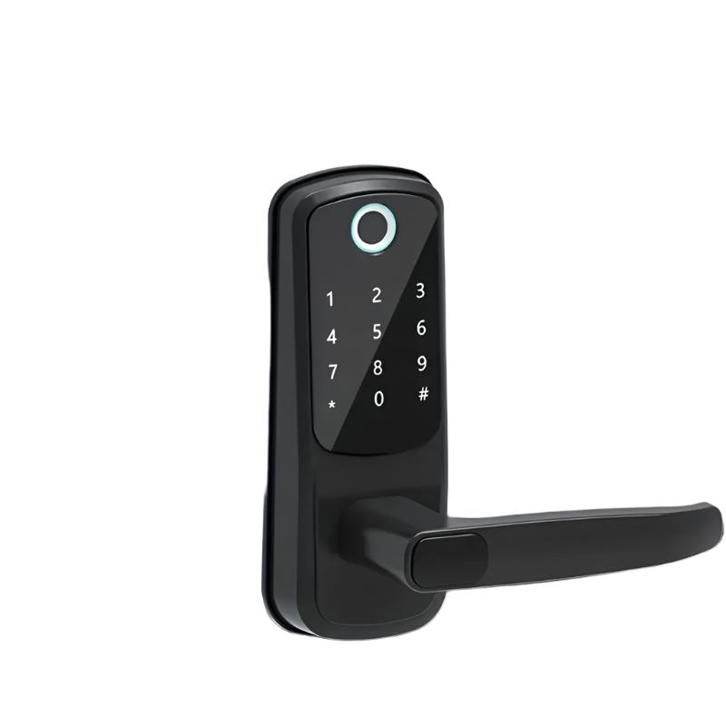 Serratura Intelligente TT Lock Senza Chiave con Impronta Digitale