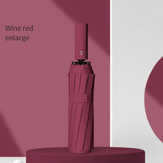Automatic folding and light umbrella