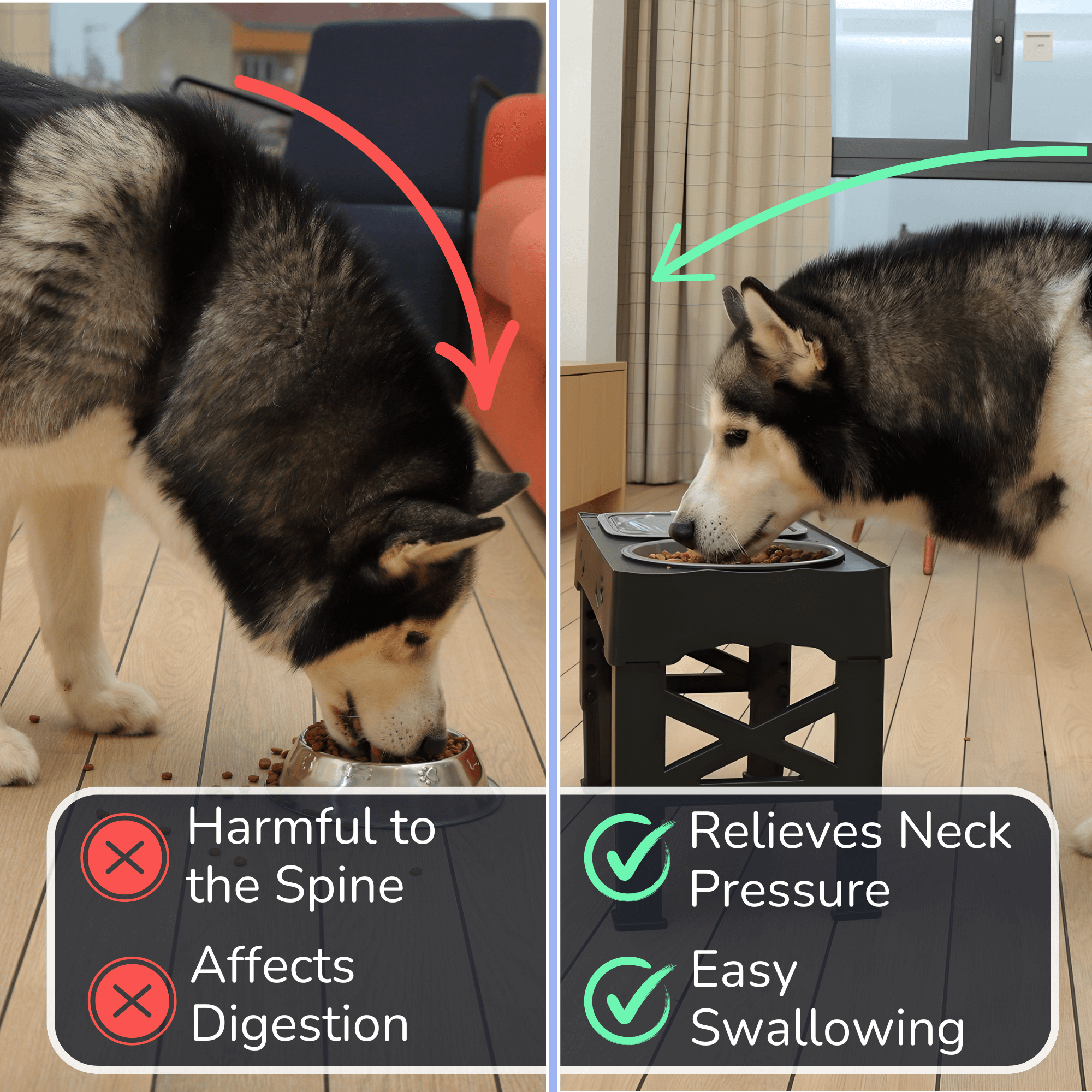 Ciotola per Cani 3 in 1 con Supporto Regolabile – Cibo, Acqua e Snack
