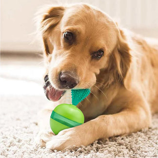 <tc>Interactive Snack Ball™ | Reward Toy to Keep Dogs Entertained</tc>