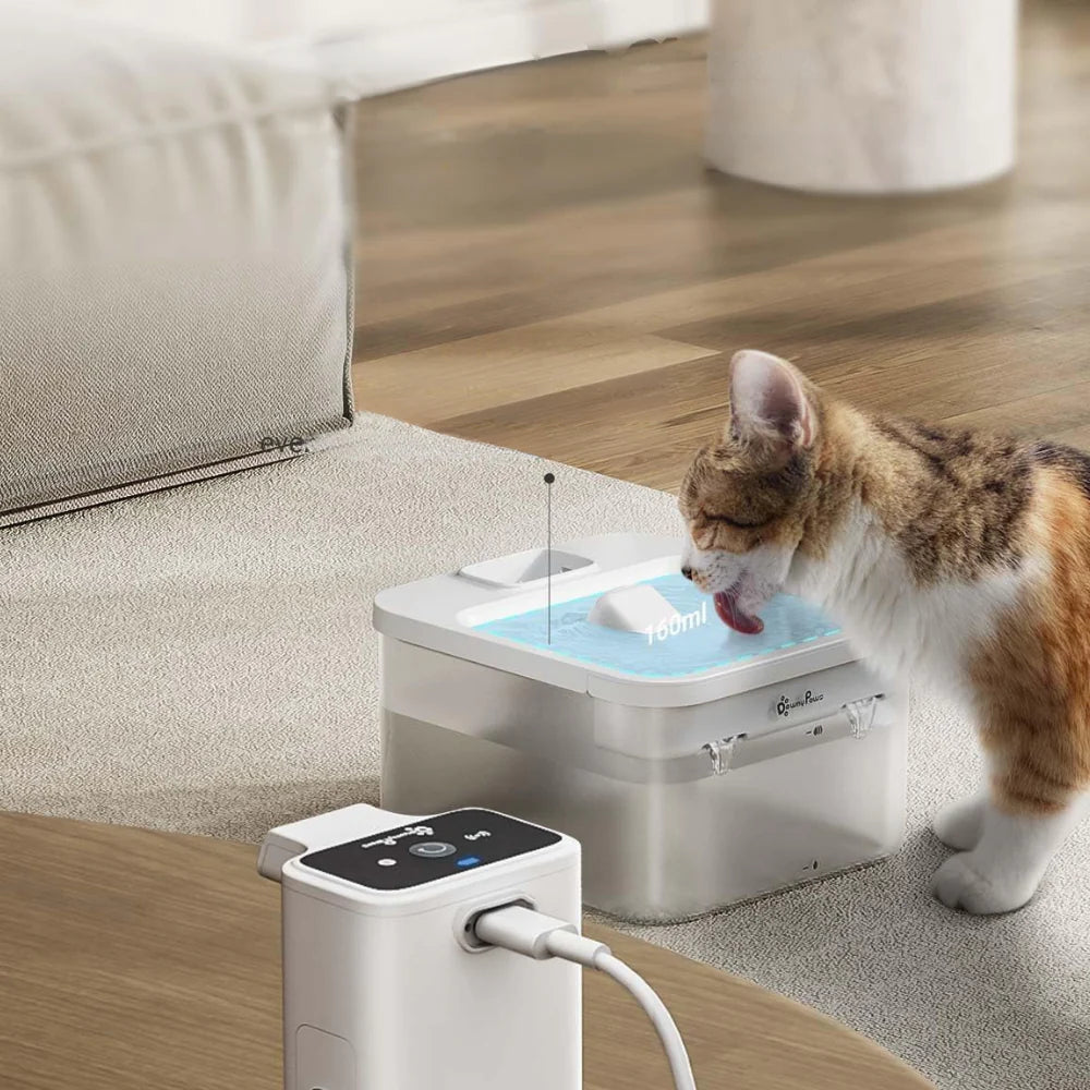 Wireless Fountain ™ | Fresh and clean water everywhere, without cables