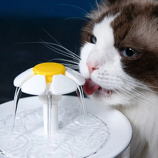 Water dispenser for cats with automatic fountain and filter