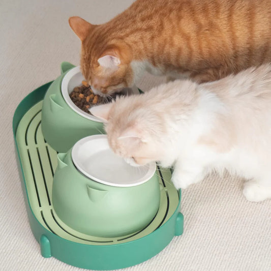 <tc>Non-Slip Dual Bowls™ | Elegant Design for Dogs &amp; Cats</tc>