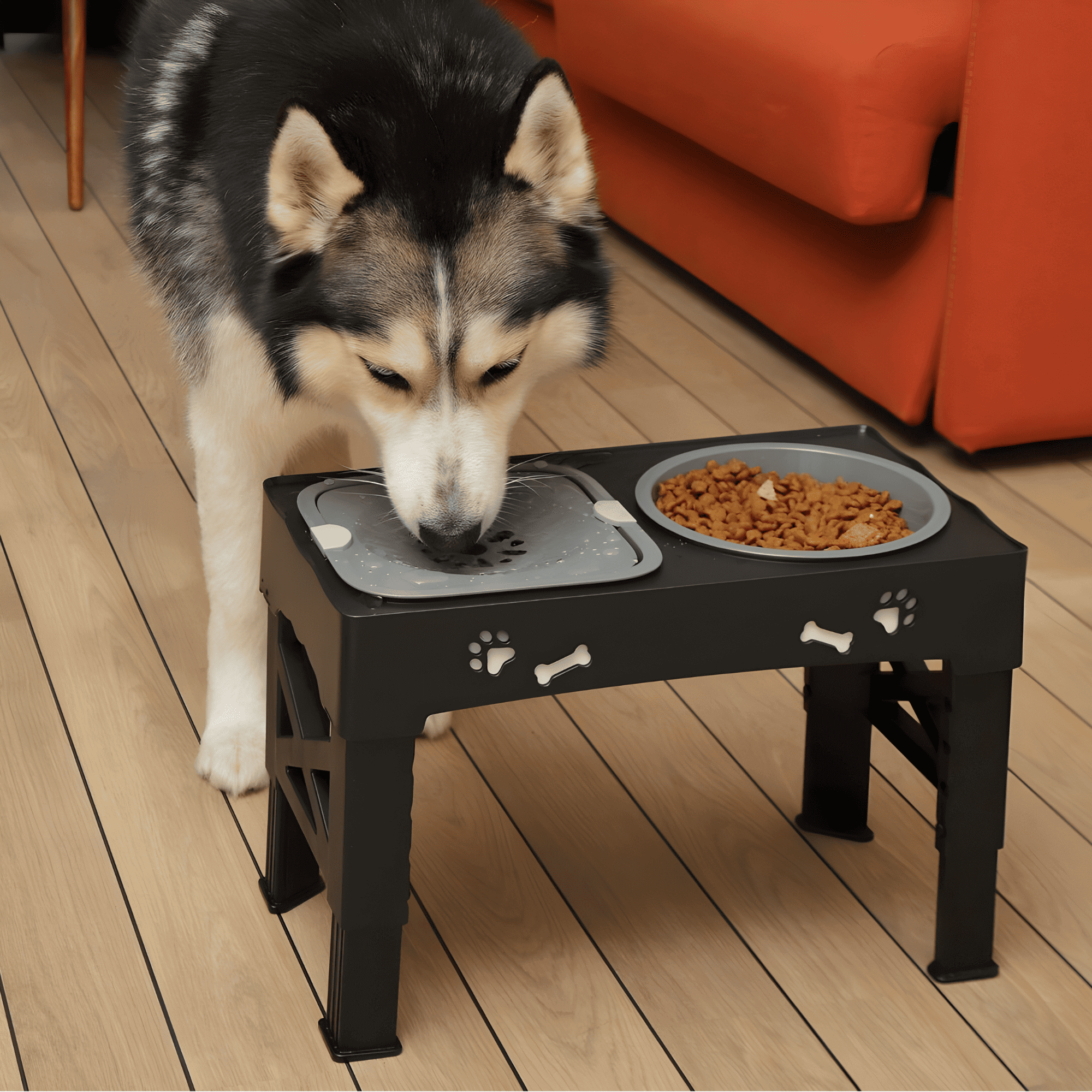 Ciotola per Cani 3 in 1 con Supporto Regolabile – Cibo, Acqua e Snack
