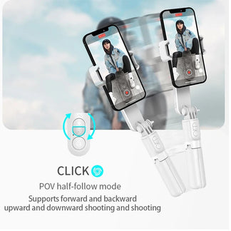 Portable support with extendable auction