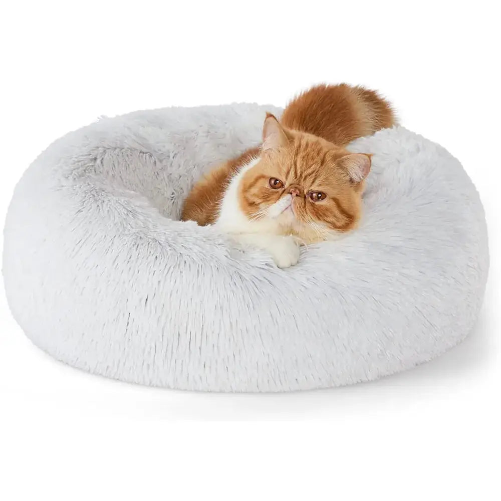 <tc>Cozy Cat Bed™ | Warmth &amp; Comfort for Purrfect Naps</tc>