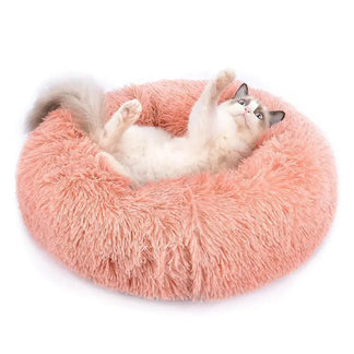 <tc>Cozy Cat Bed™ | Warmth &amp; Comfort for Purrfect Naps</tc>