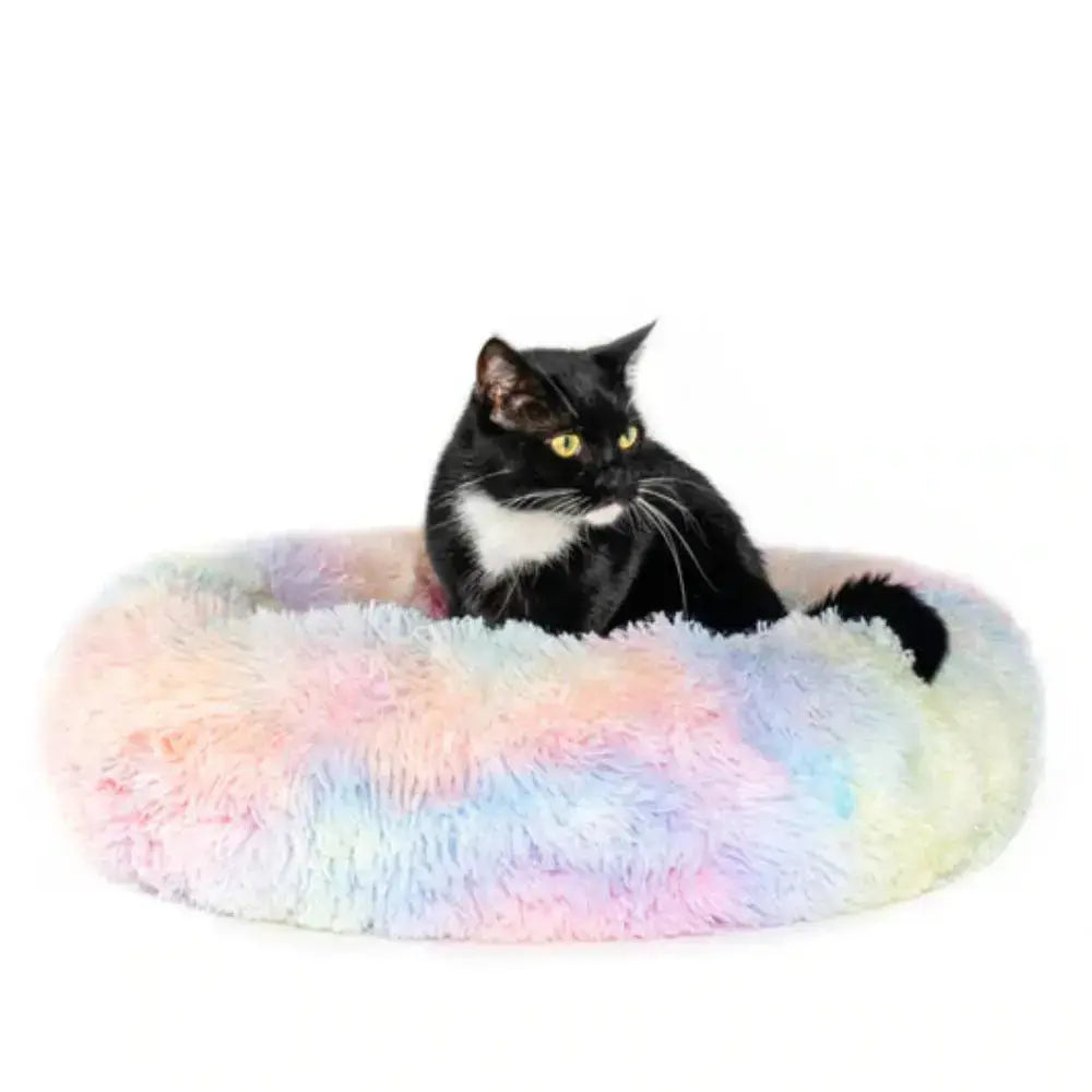 <tc>Cozy Cat Bed™ | Warmth &amp; Comfort for Purrfect Naps</tc>