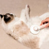 Spazzola Autopulente per Animali™ | Rimuove il Pelo in un Click MigliorPrezzi.com