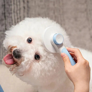 Spazzola Autopulente per Animali™ | Rimuove il Pelo in un Click MigliorPrezzi.com