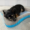 Cuccia Rinfrescante™ | Comfort Ghiacciato per le Giornate Estive MigliorPrezzi.com