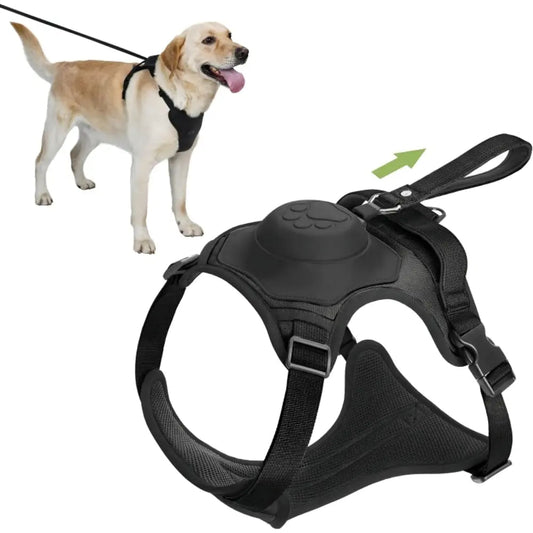 <tc>Harness with Built-in Leash™ | 6 Meters of Freedom &amp; Full Control</tc>