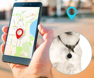 Easytrack GPS WITHOUT SMALL, WATERMABLE AND RESISTANT