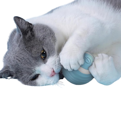 Giocattolo per Gatti Elettrico Palla Interattiva Ricaricabile