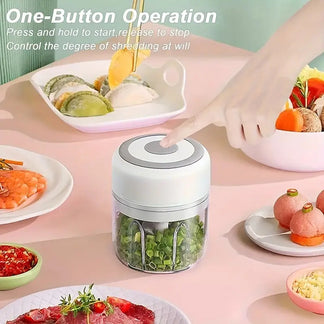 Mini Electrical Usb-C Food Electric Chop