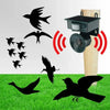 Motion Sensor Bird Deterrent for Crows: Ideal Pigeon Repeller with Sound Scarer MigliorPrezzi.com