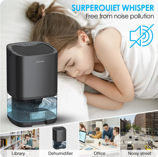 Silent portable dehumidifier for home and office