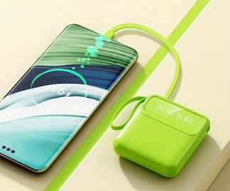 Multi-portable portable charger