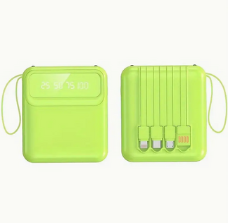Multi-portable portable charger