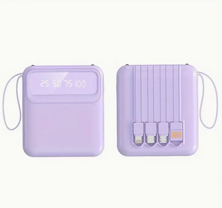 Multi-portable portable charger