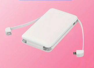 Portable power bank with double charging