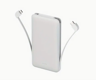 Portable power bank with double charging