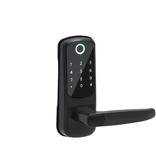  Serratura Intelligente TT Lock  Senza Chiave con Impronta Digitale
