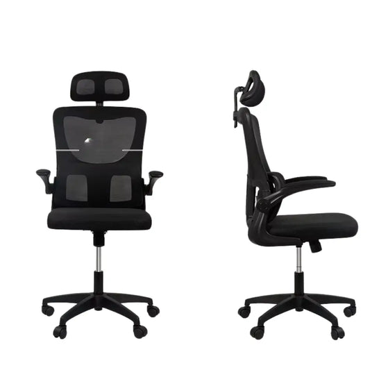 <tc>PosturePro™ | Executive Ergonomic Chair for Daily Wellness™</tc>