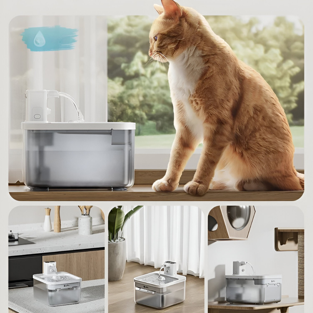 Wireless Fountain ™ | Fresh and clean water everywhere, without cables