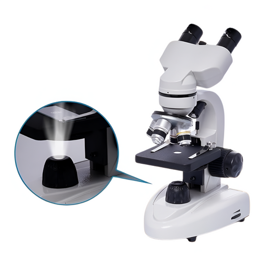 <tc>&nbsp;Binocular Microscope™ | Big Adventures in Small Worlds</tc>