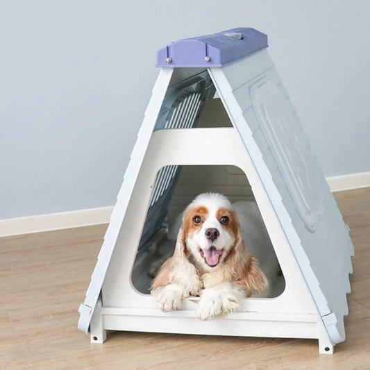 <tc>Plastic Dog House™ | Durable Shelter for All Seasons</tc>