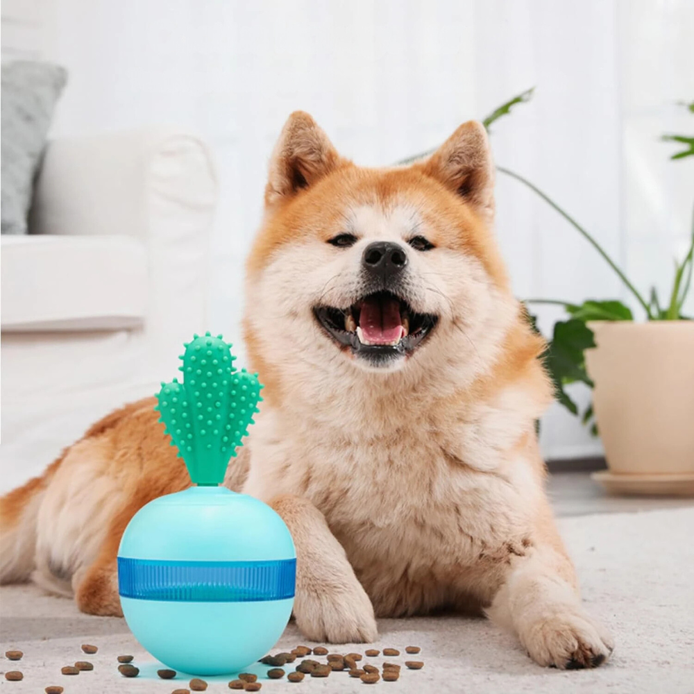 <tc>Interactive Snack Ball™ | Reward Toy to Keep Dogs Entertained</tc>