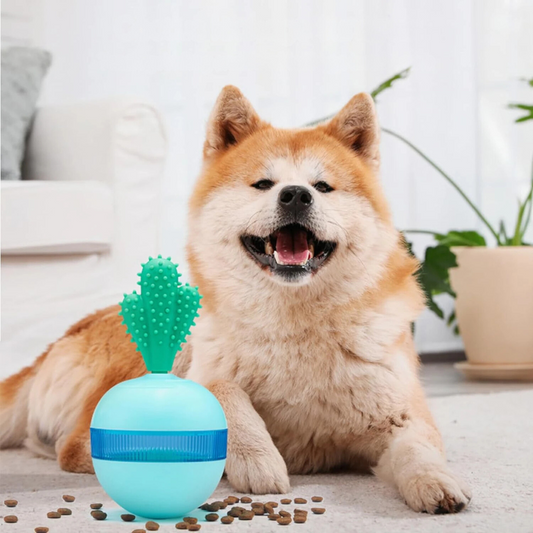 <tc>Interactive Snack Ball™ | Reward Toy to Keep Dogs Entertained</tc>