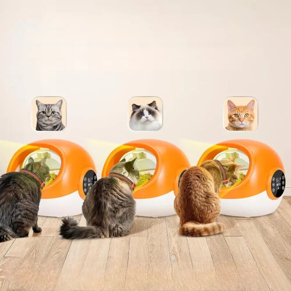 Distributore Automatico di Cibo per Gatti 2025™ | Alimentazione Intelligente per Gatti Felici MigliorPrezzi.com
