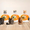 Distributore Automatico di Cibo per Gatti 2025™ | Alimentazione Intelligente per Gatti Felici MigliorPrezzi.com