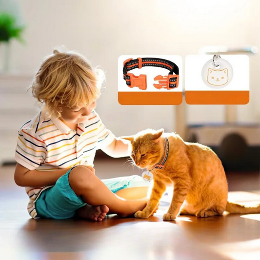 Distributore Automatico di Cibo per Gatti 2025™ | Alimentazione Intelligente per Gatti Felici