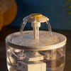 Dispenser d'Acqua per Gatti con Fontana Automatica e Filtro MigliorPrezzi.com