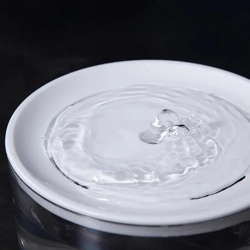 Water dispenser for cats with automatic fountain and filter