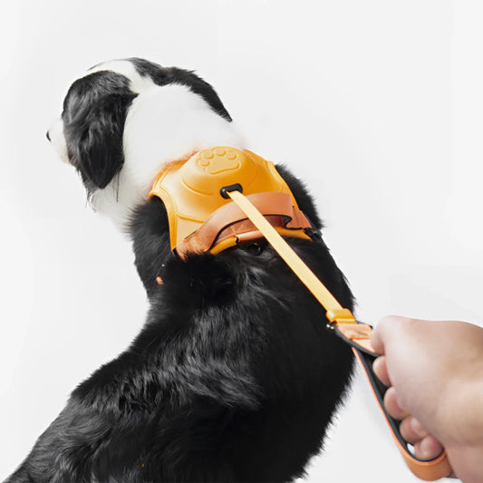 <tc>Harness with Built-in Leash™ | 6 Meters of Freedom &amp; Full Control</tc>
