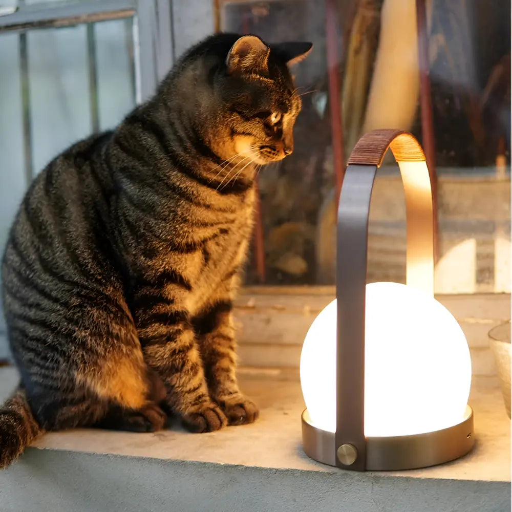 Lanterna Luminosa™ | Design Sferico Portatile per Interni ed Esterni MigliorPrezzi.com